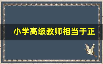 小学高级教师相当于正科级吗_中小学正高级 相当于